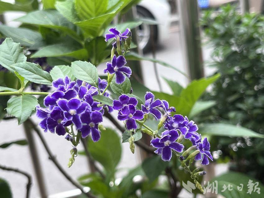 永利客户端
